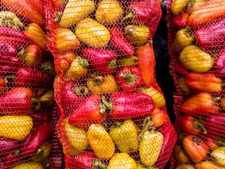 Fresh,Red,And,Yellow,Sweet,Bell,Pepper,In,Mesh,Bags