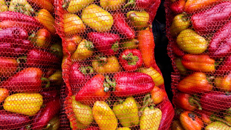 Fresh,Red,And,Yellow,Sweet,Bell,Pepper,In,Mesh,Bags